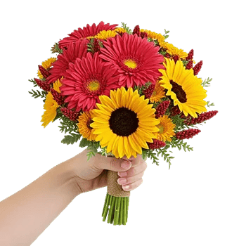 Coral Blossom Harmony