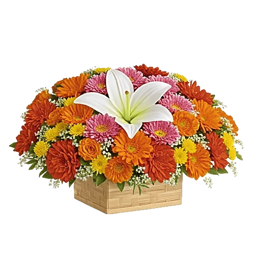 Blossom Glow Symphony