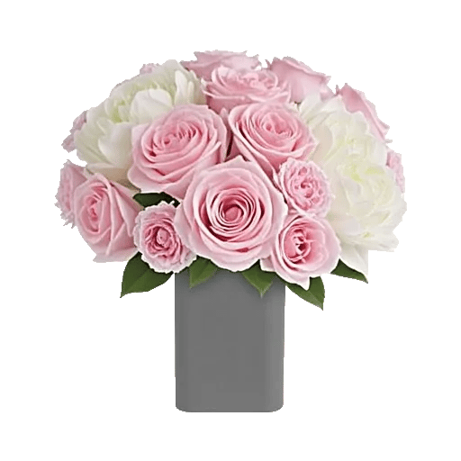 Pink Pastel Roses