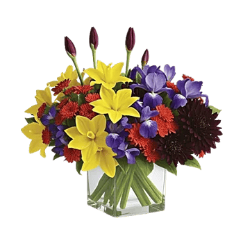 Radiant Bloom Cascade