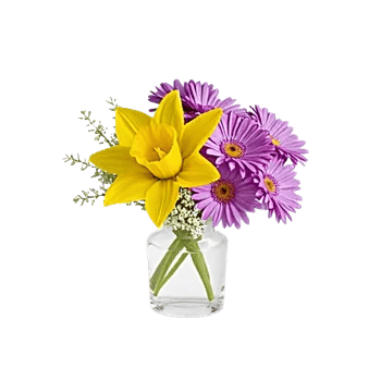 Petal Radiance Bliss