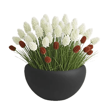 Modern White Orchids