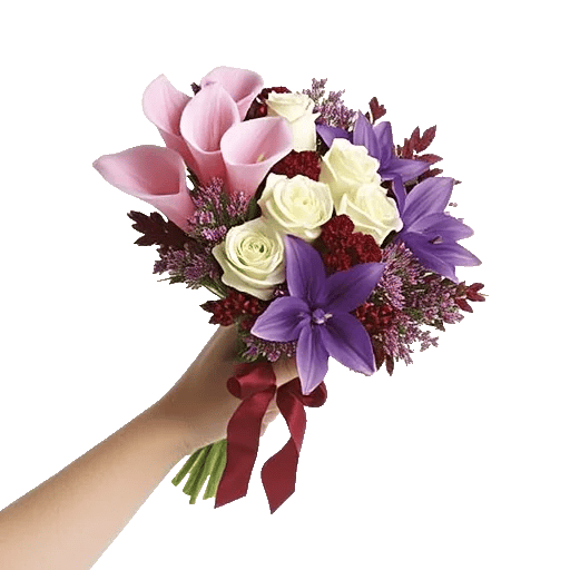 Elegant Calla Lilies