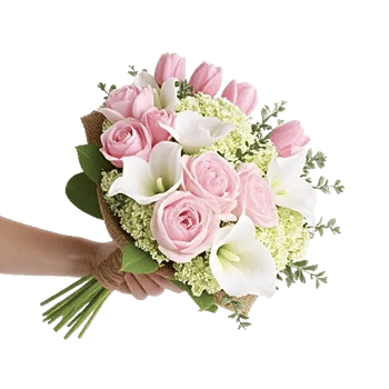 Blossom Harmony Display