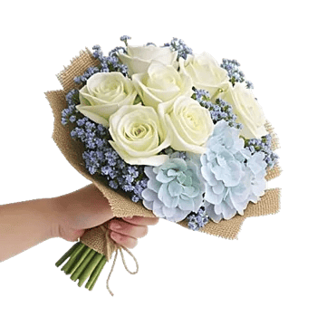 Serene Petal Harmony