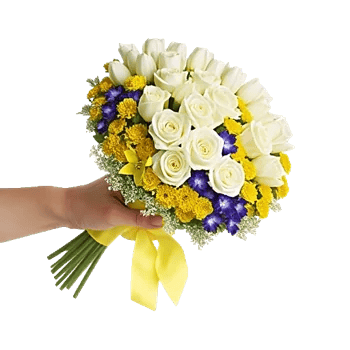 Blossom Harmony Display