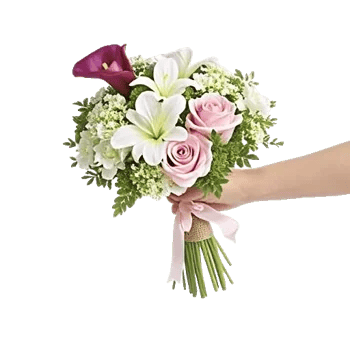 Elegant Calla Lilies