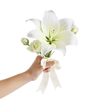 Frosted Lily Spread