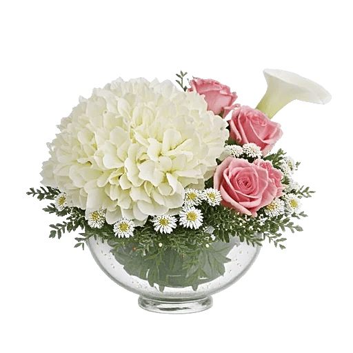 Serene Petal Harmony