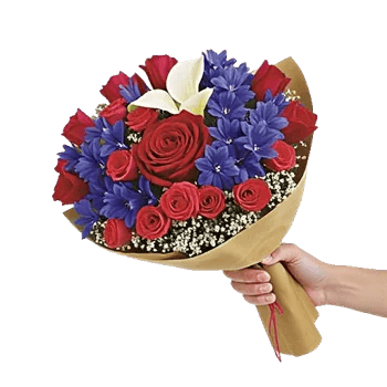 Crimson Rose Elegance