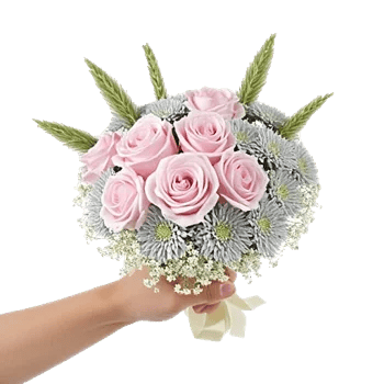 Pastel Pink Roses