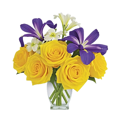 Ivory Blossom Radiance