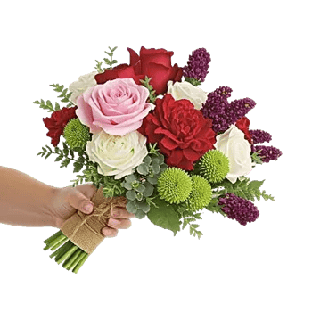 Blushing Rose Symphony