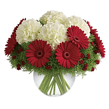 Petal Radiance Bliss