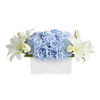 Serene Petal Harmony