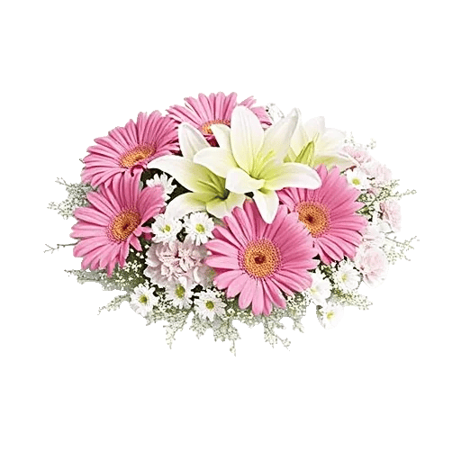 Petal Harmony Bliss