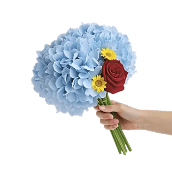 Serene Petal Harmony