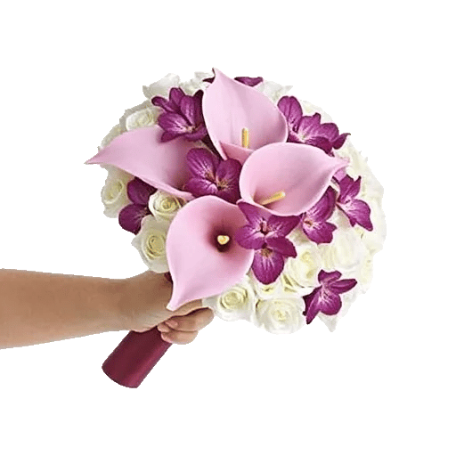 Elegant Calla Lilies