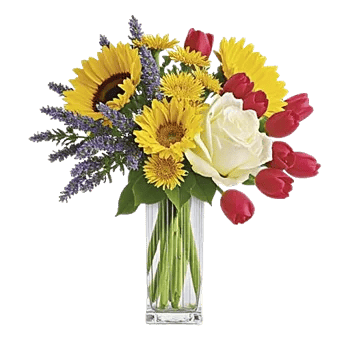 Radiant Bloom Cascade