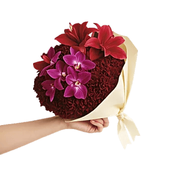 Orchid Petal Glow