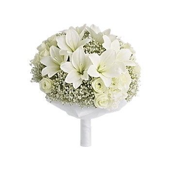 Elegant Calla Lilies
