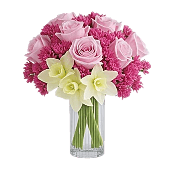Radiant Rose Symphony