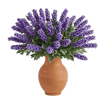 Lavender Bloom Grace