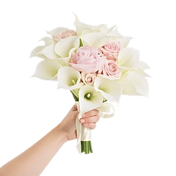 Elegant Calla Lilies