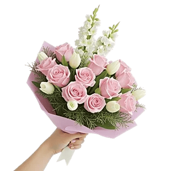 Pastel Pink Roses
