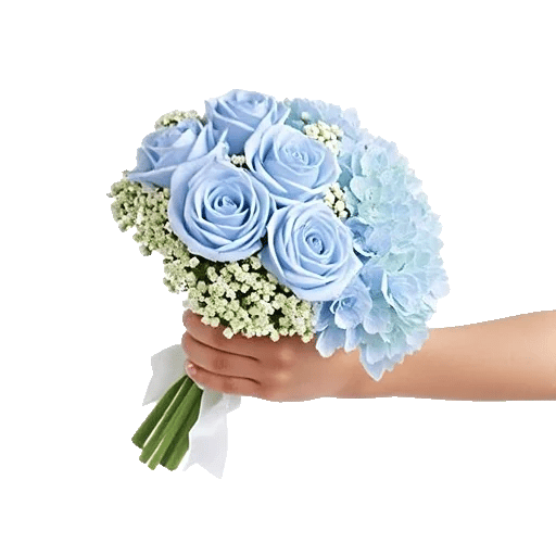 Elegant Blue Roses