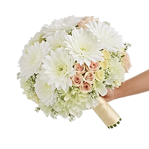 Ivory Garden Grace