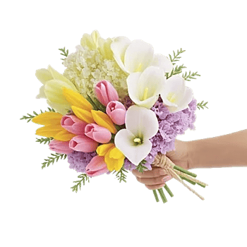 Blossom Harmony Display