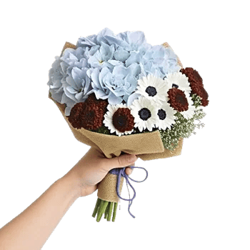 Serene Petal Harmony