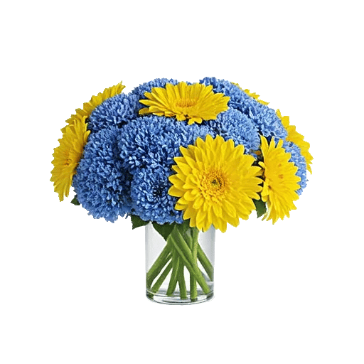 Sapphire Bloom Whisper