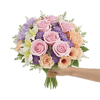 Pastel Pink Roses