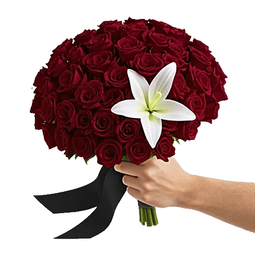 Crimson Rose Elegance