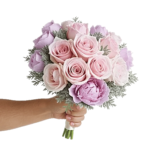 Pastel Pink Roses