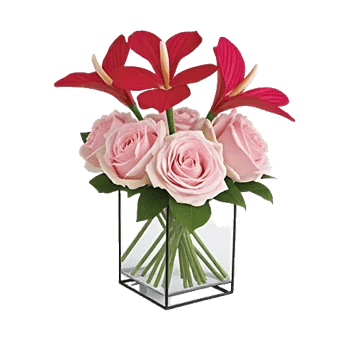 Crimson Blossom Harmony