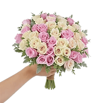 Blushing Rose Symphony