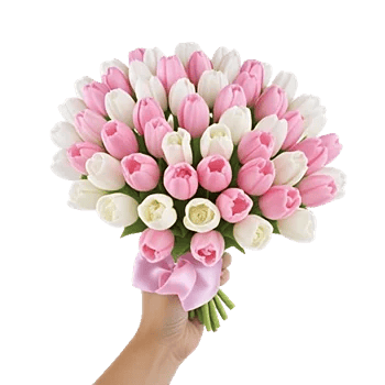 Velvet Tulip Display