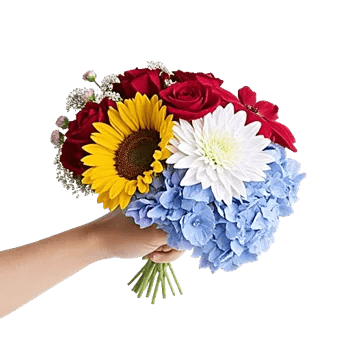 Serene Petal Harmony