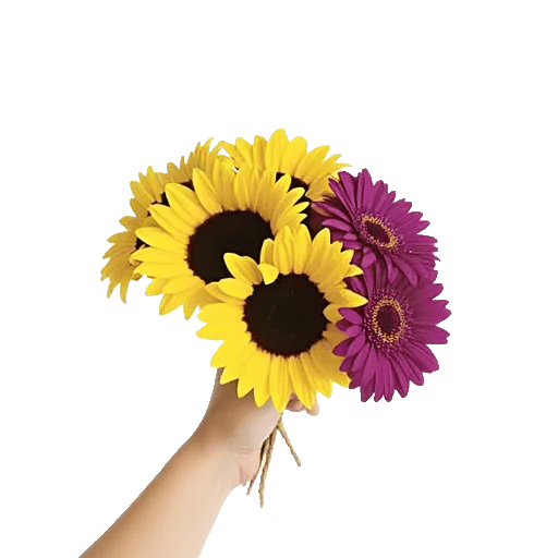 Twinkling Sunflower Dance