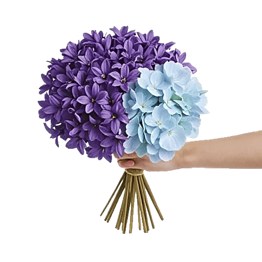 Sapphire Bloom Whisper