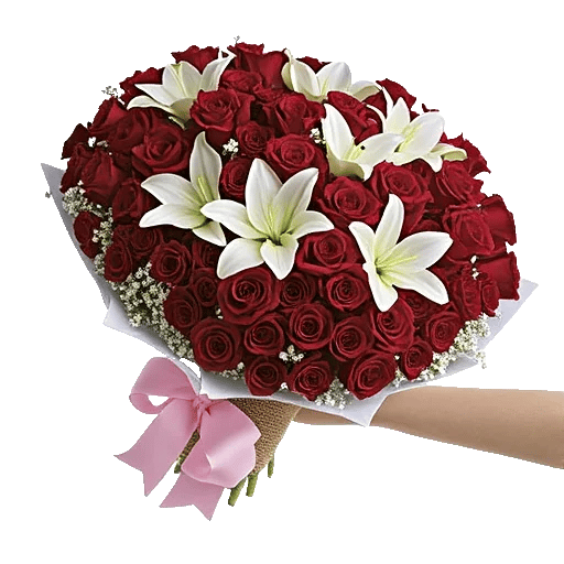 Crimson Rose Elegance