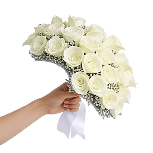 Elegant Calla Lilies