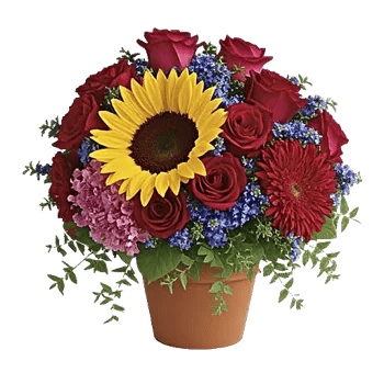 Amber Sunflower Glow