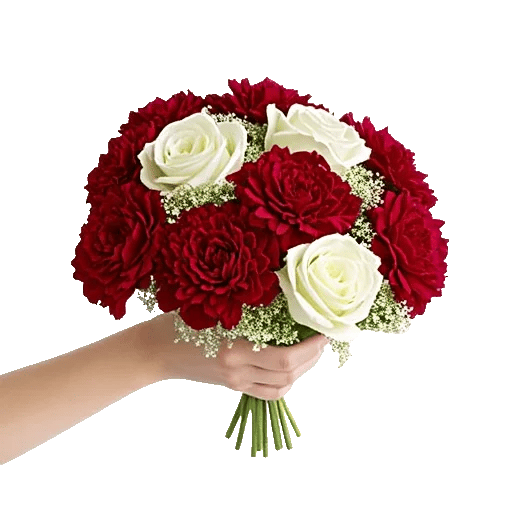 Crimson Rose Elegance