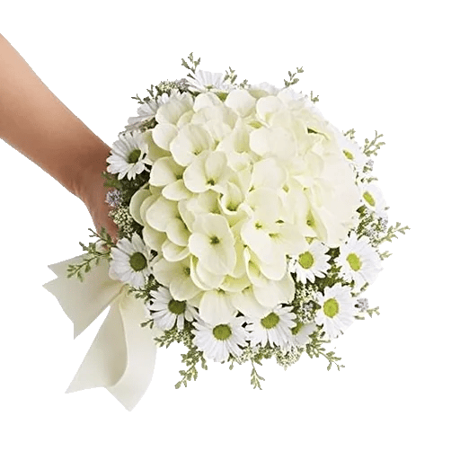 Ivory Garden Grace