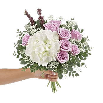 Serene Petal Harmony