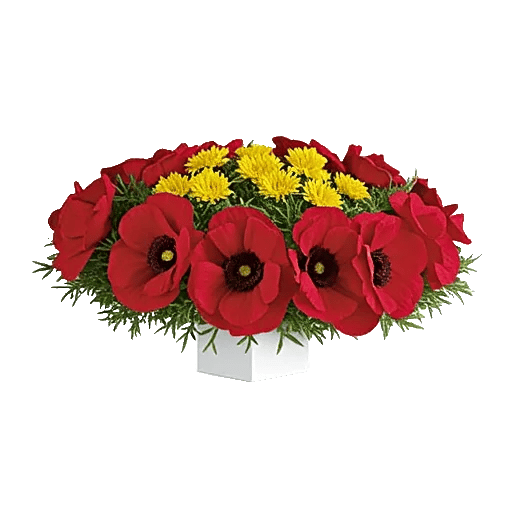 Petal Radiance Bliss